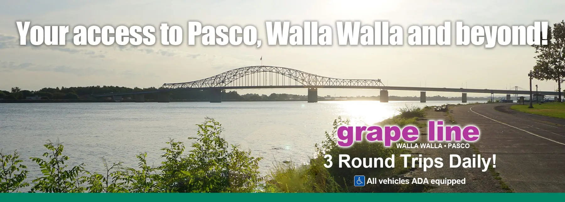 Grapeline Your Access V3 1800x645 Grapeline Your Access V3 1800x645