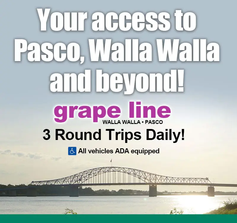 Grapeline Your Access V3 Mobile 800x752