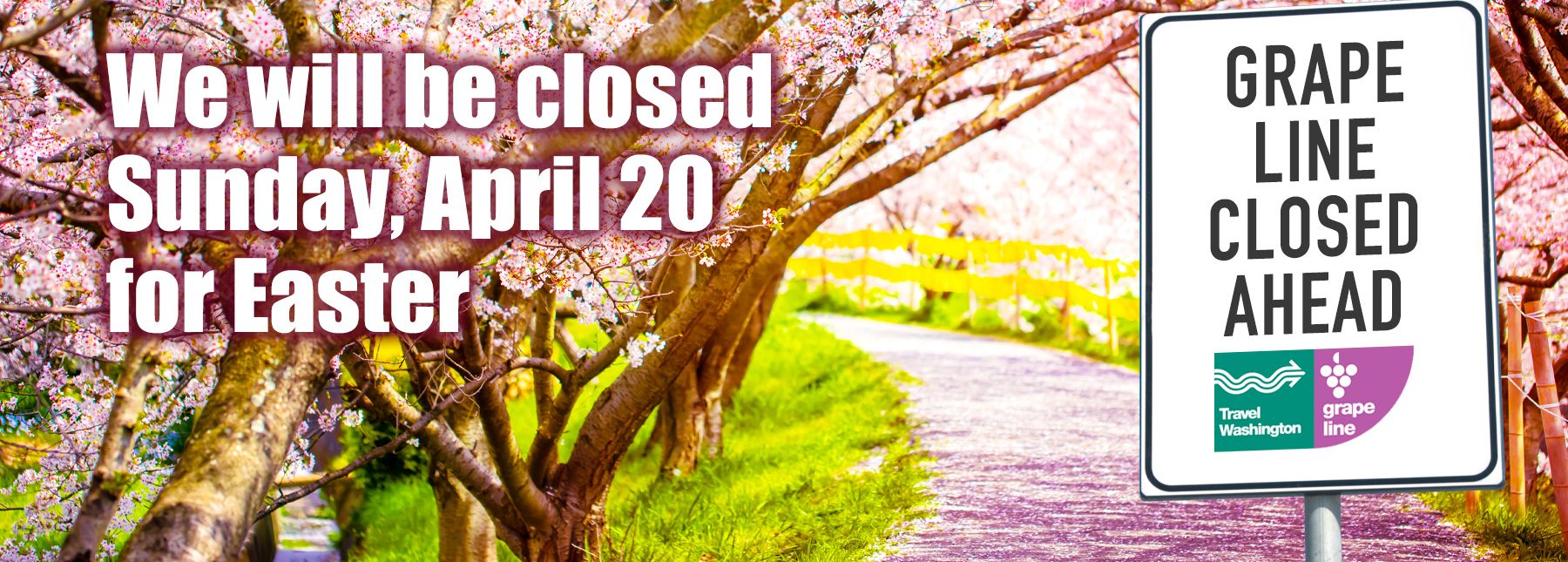 Closed Easter 2025 Grape 1800x745